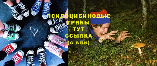твердый Вязники