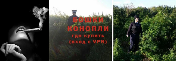 дживик Володарск