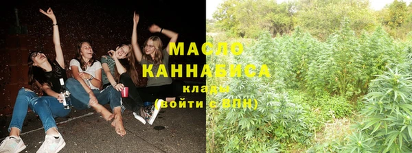 дживик Володарск